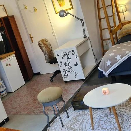 Chaleureux Studio Independant Encausse-les-Thermes Екстер'єр фото